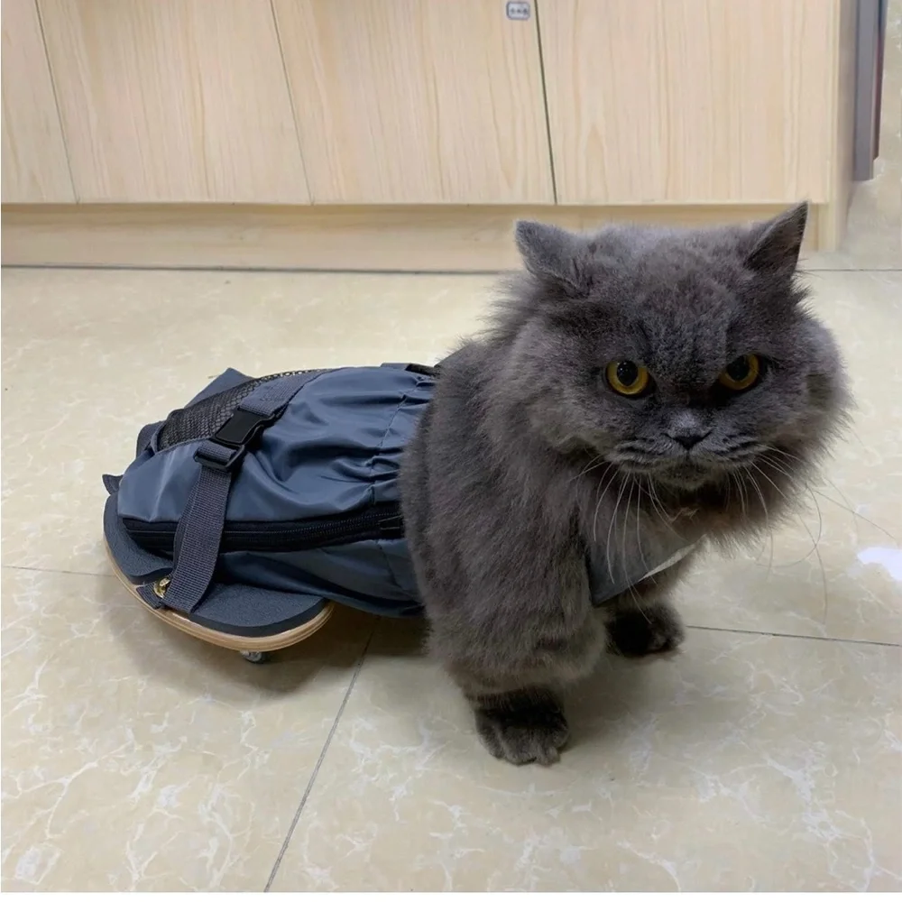 Pet Scooter